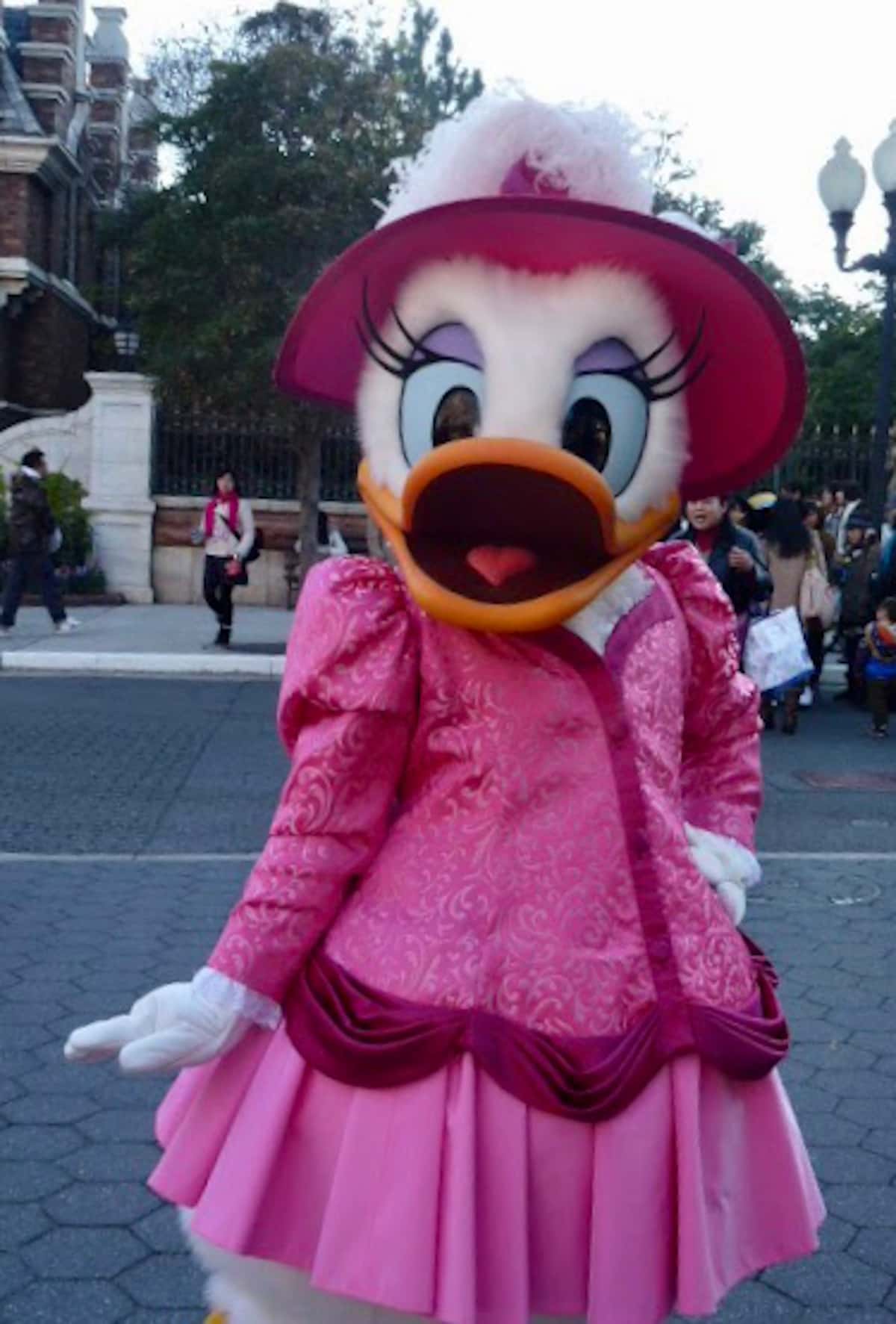 羽根飾りのついた帽子、ピンク色のドレスをつけたデイジー