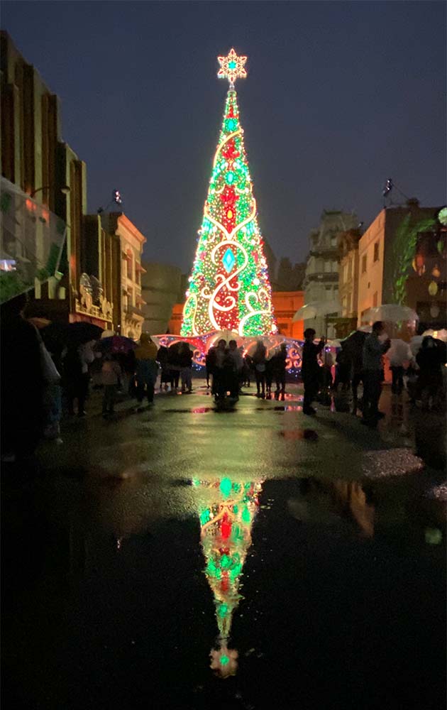 水たまりに反射するクリスマスツリー